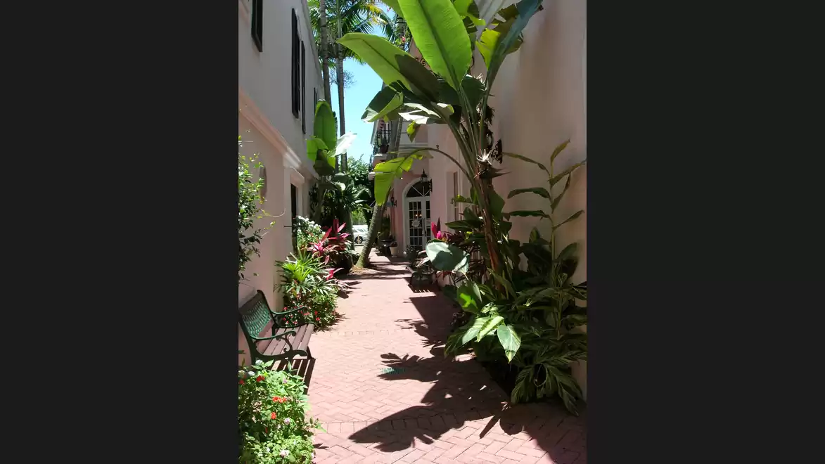 A narrow, sunny courtyard with a brick floor and tropical plants on the sides, leading to an archway at the end. The dense plants and blue sky enhance the tropical ambiance.