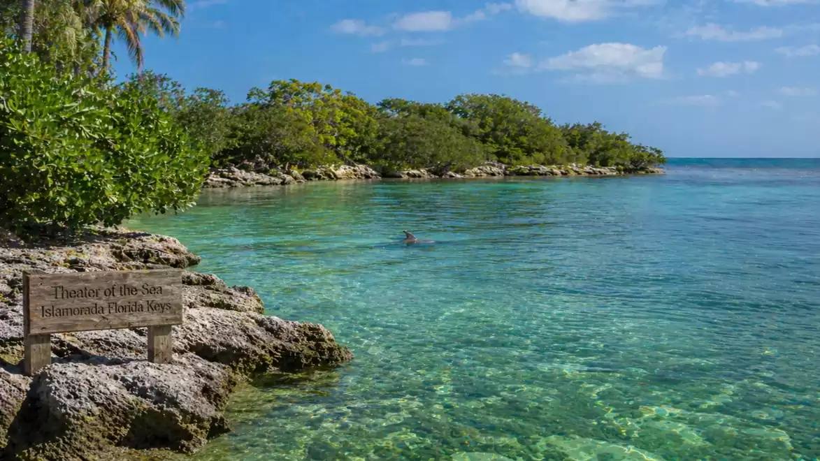Clear blue water at a tropical coastline with rocks and green vegetation under a blue sky with few clouds.