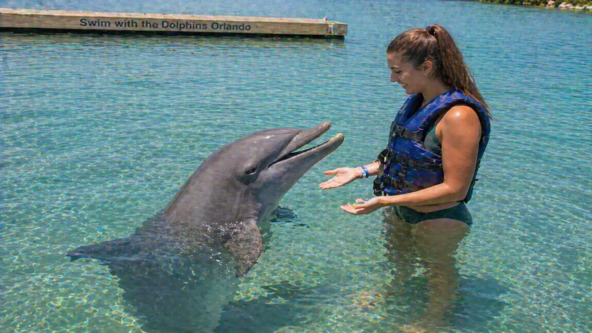 A woman in a life jacket stands in clear water interacting with a dolphin.