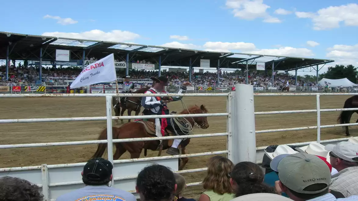 A cowboy rides a horse at a rodeo while spectators sit behind a fence in the stands. The sky is clear and sunny.
