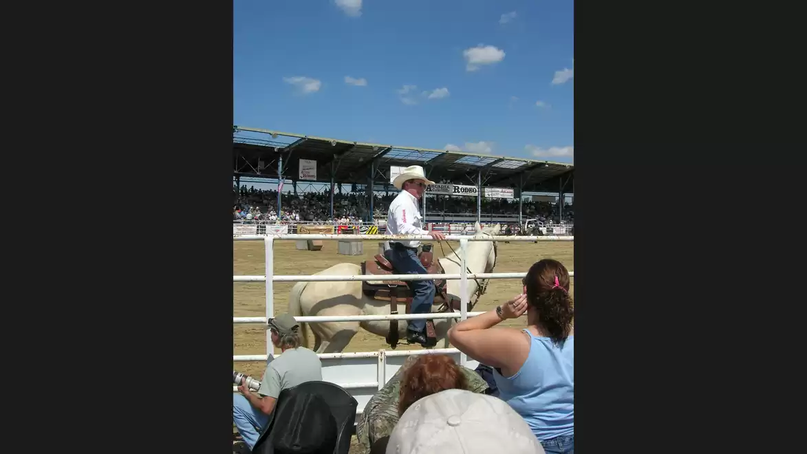 A cowboy riding a white horse in an arena, surrounded by spectators.