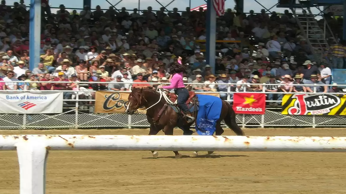 A rider in a pink shirt and blue pants rides her horse in front of a large crowd at a rodeo.