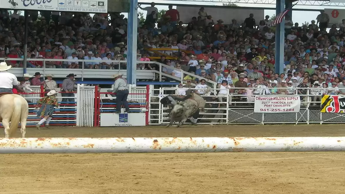 A rodeo event where a rider tries to stay on a bucking bull as the audience watches.