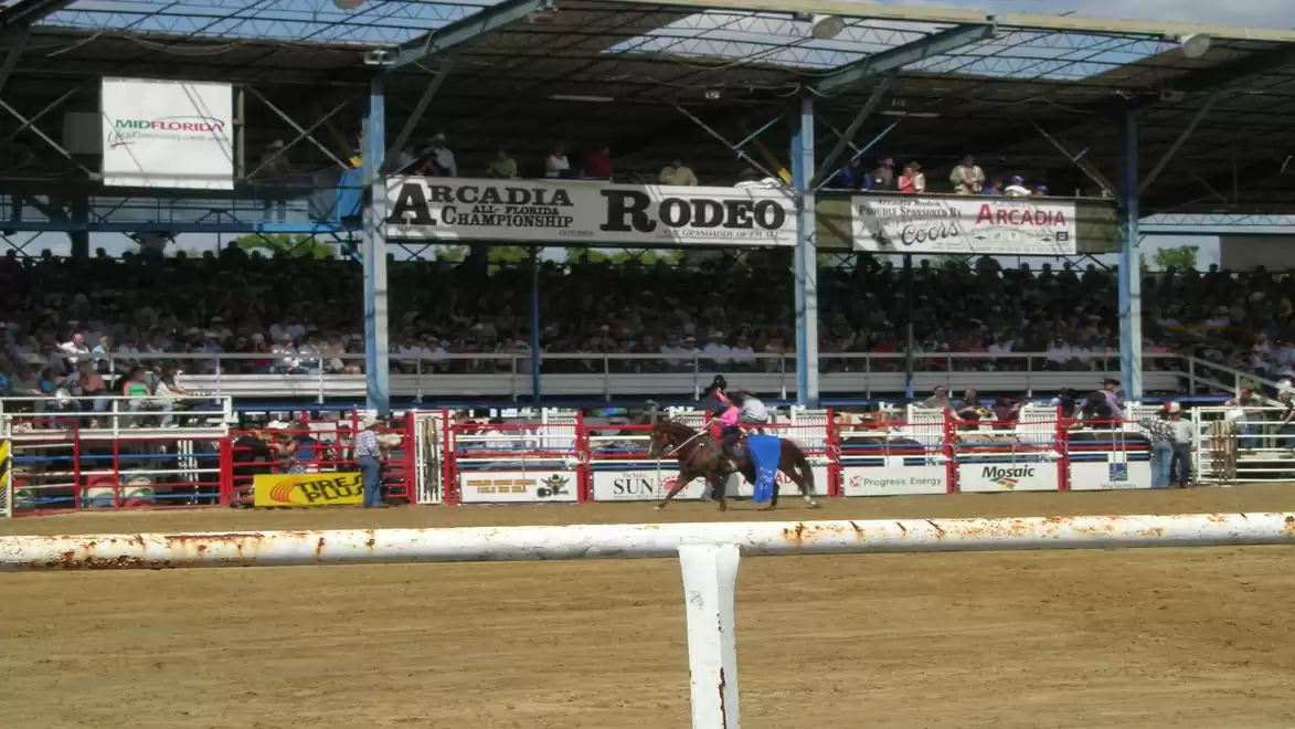 A rodeo event with a rider on a horse in an arena with many spectators in the stands.