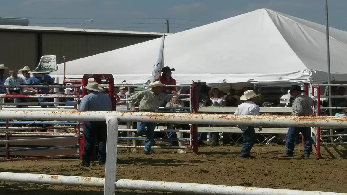 Rodeo event with several people in western attire in an enclosed area, near a white tent.