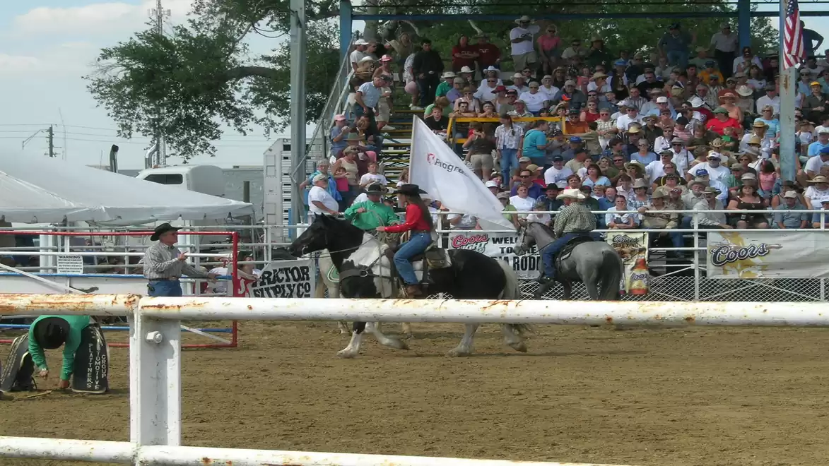 Rodeo event with a crowd in the stands, horses, and riders holding a white flag. The audience is seated in the background, watching the event.
