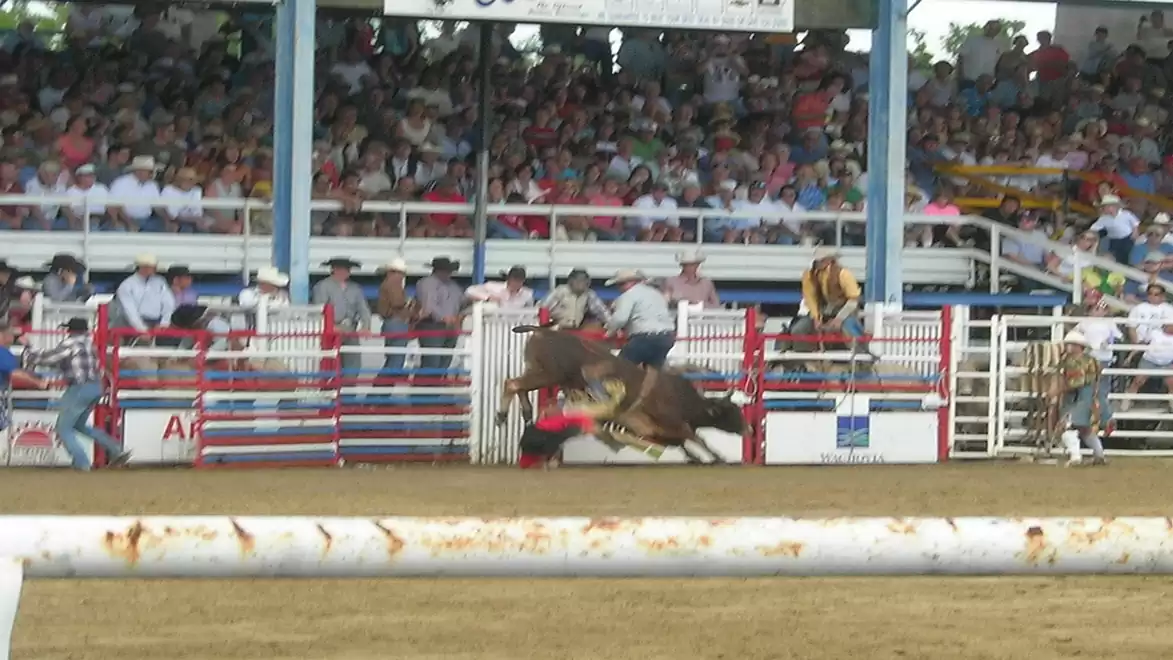 A rodeo rider is riding a bull in an arena, surrounded by a large audience.
