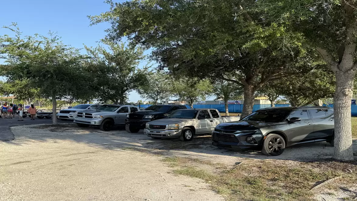 Row of cars parked under trees with clear sky in the background.