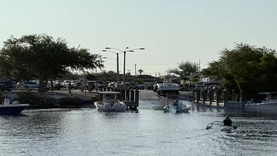 Boats in a small harbor with trees and parked cars in the background during daytime.