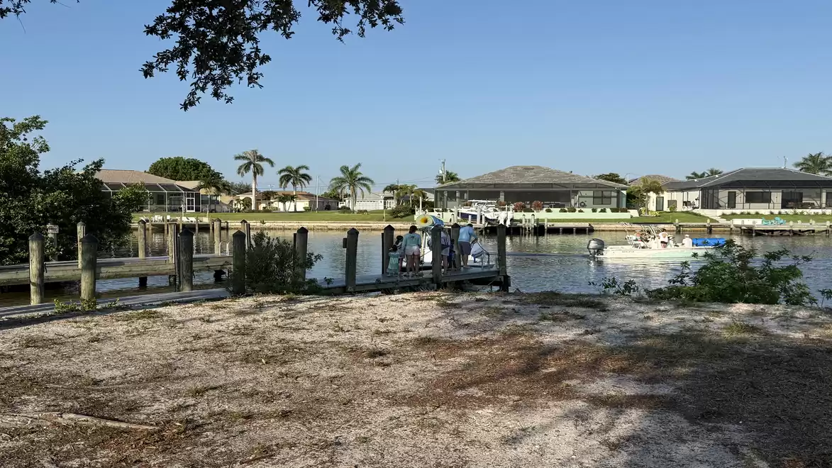 A sunny day by a river with a dock and houses in the background. Palm trees surround the landscape.