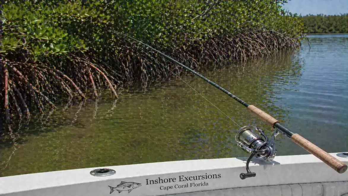 Fishing in Cape Coral, Florida: A fishing rod positioned on a boat near the mangrove shoreline.