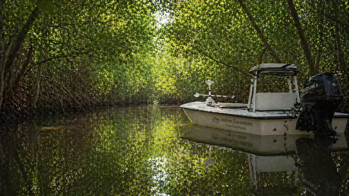 A small boat rests quietly in a dense mangrove forest, with light filtering through the leaves and reflecting on the water.