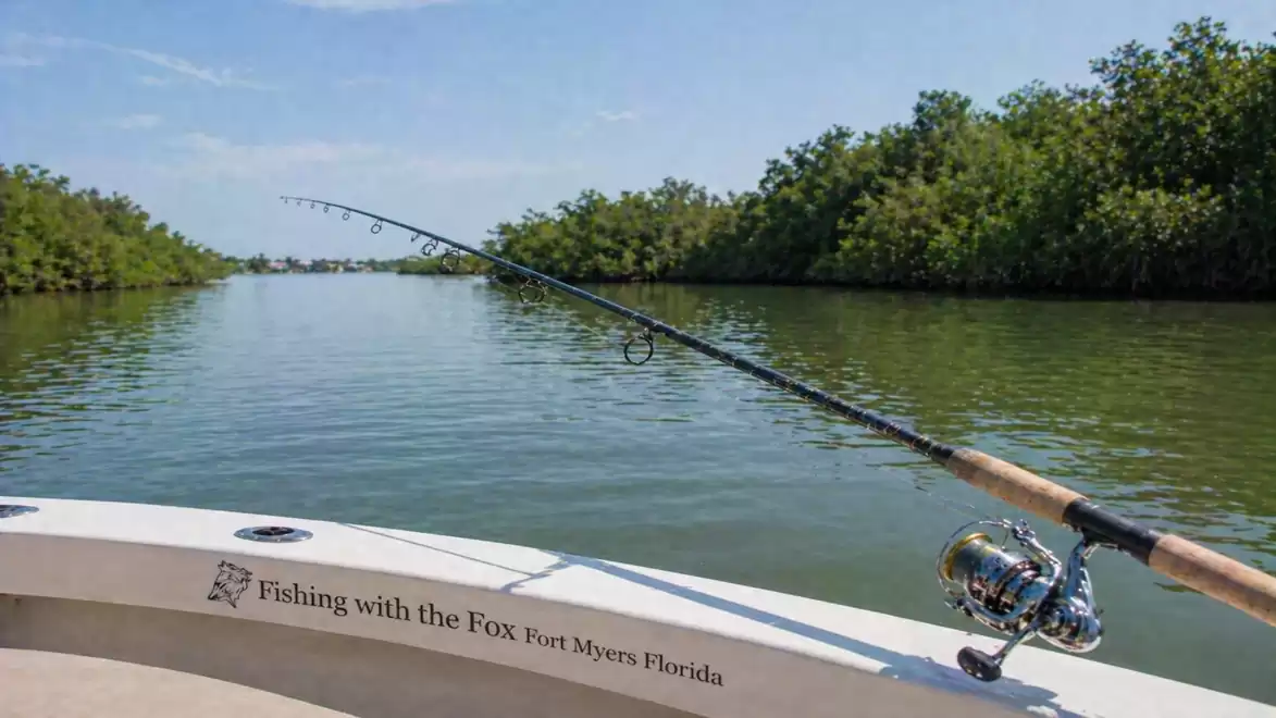 Fishing scene on a boat in Florida with a fishing rod held over the water, surrounded by green mangroves.