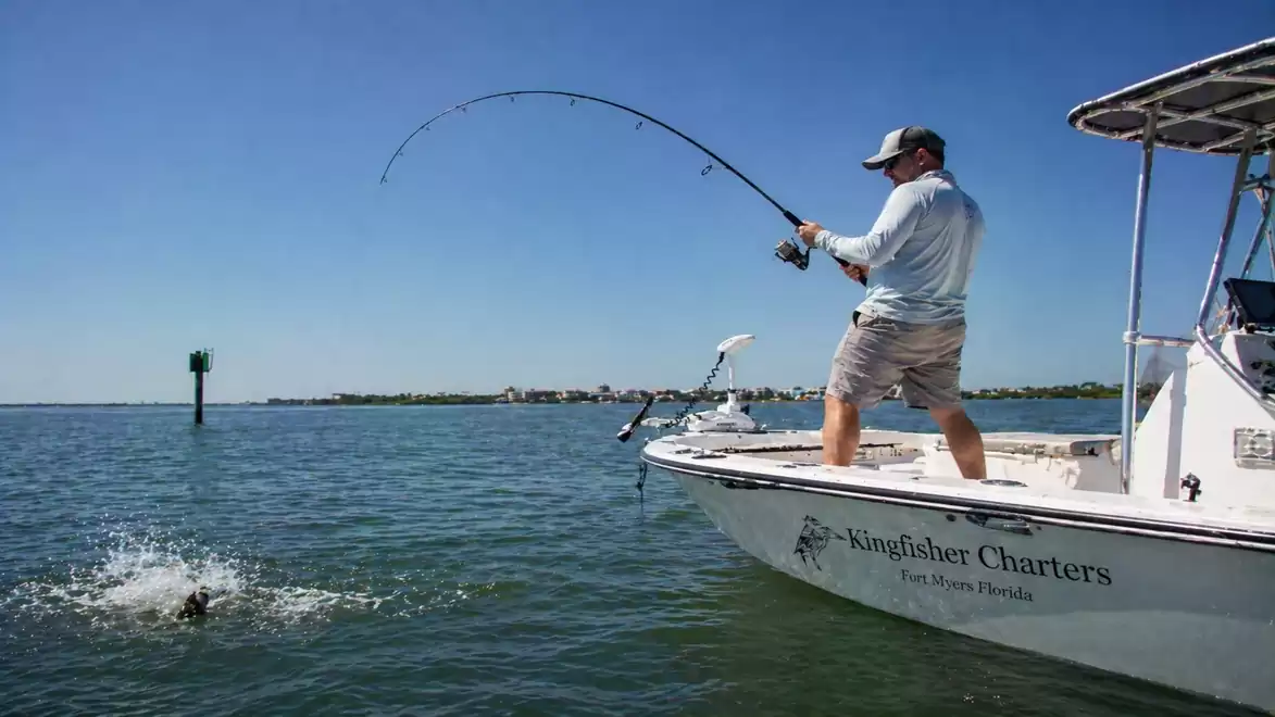 An angler stands on a boat and reels in a fish from the water while holding a fishing rod. The sky is clear and blue.