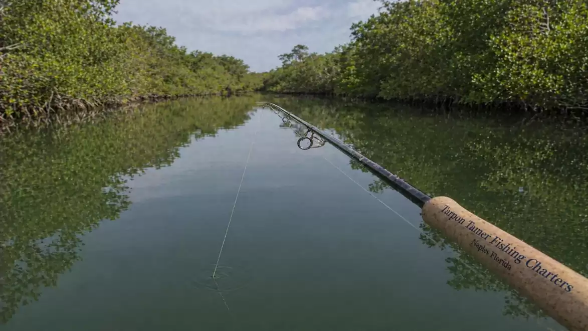 Fishing scene on a calm river surrounded by lush greenery and dense trees along the shore reflecting in the clear water.