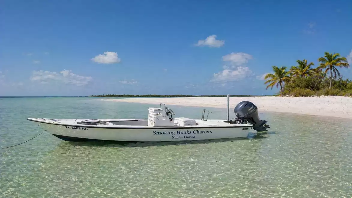 A small boat rests on clear, shallow water by a tropical sandy beach with palm trees, under a blue sky.