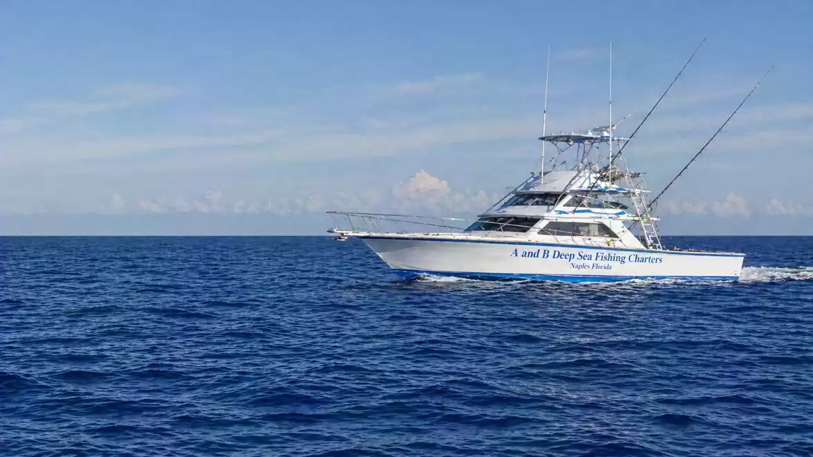 A large charter fishing boat glides on the open sea with a clear, blue sky in the background.