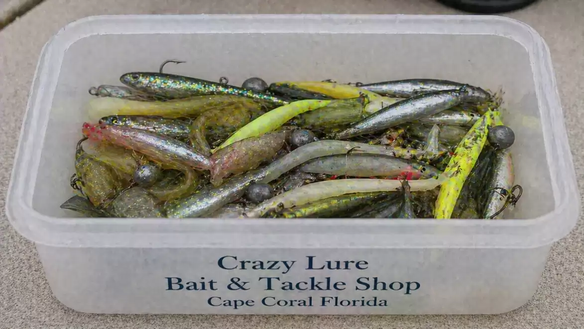 A plastic box containing various baitfish and fishing gear from Crazy Lure Bait & Tackle Shop, Cape Coral, Florida, on a table.