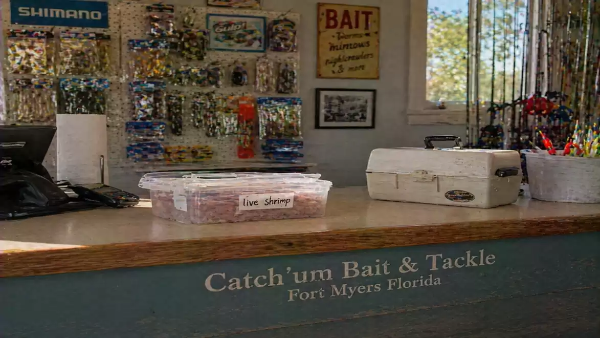 Image of a store selling bait and tackle. On the counter are a cash register, plastic containers with bait, and a white fishing bag. Various fishing accessories hang on the wall in the background.