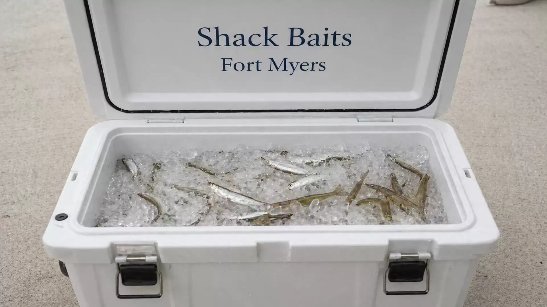 An open cooler labeled 'Shack Baits Fort Myers' filled with ice and several fish.