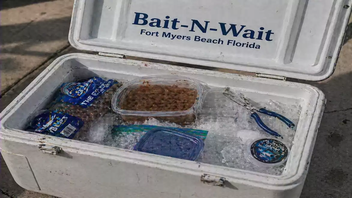 An open cooler containing various fishing supplies, including bait, pliers, and ice. The lid reads 'Bait-N-Wait Fort Myers Beach Florida'.
