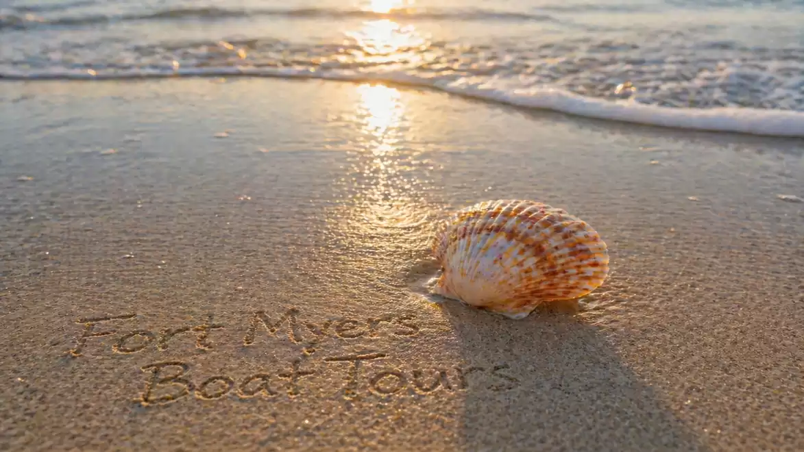 A seashell lies in the sand on the beach as gentle waves break at sunset. 'Fort Myers Boat Tours' is written in the sand.