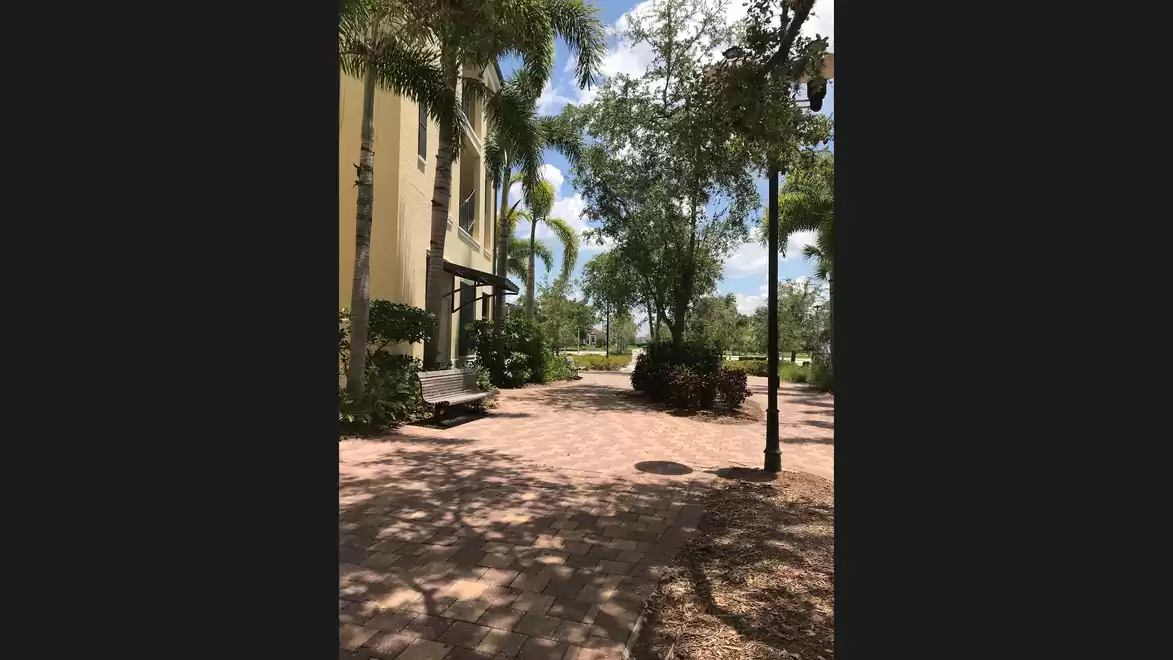 Paved walkway next to a house, surrounded by palm trees and other trees on a sunny day.