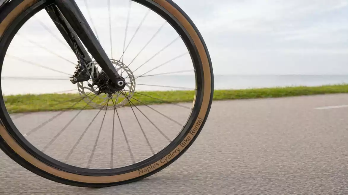 Bicycle tire on a road near the sea with green grass in the background. The sky is cloudy.