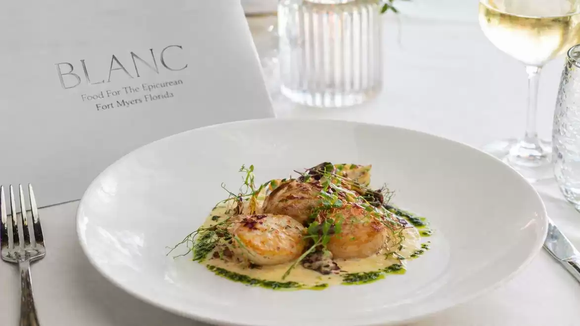 An elegant table setting featuring a plate of ravioli in a creamy sauce, garnished with fresh herbs, and a glass of white wine.