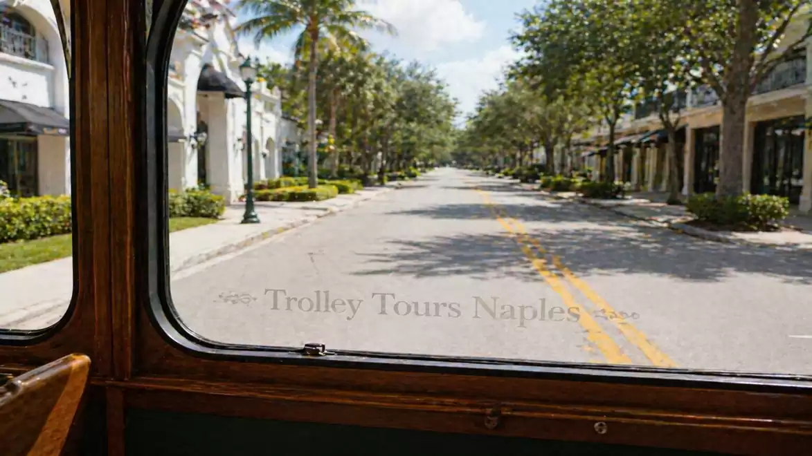 View from a trolley of a palm-lined street with shops in Naples on a sunny day.