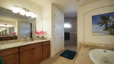 The walk-through shower extends behind the tub