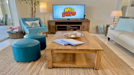 Bright and stylish furniture sets accents in the home