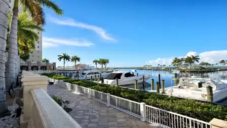 Waterfront marina walkway with white railing, moored motorboats and palm trees