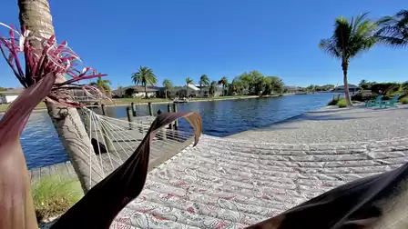 Hammock underneath the palm trees