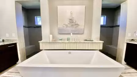 Elegant contemporary style bathtub 