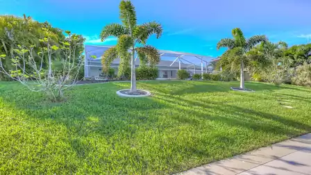Palm trees add a tropical feeling