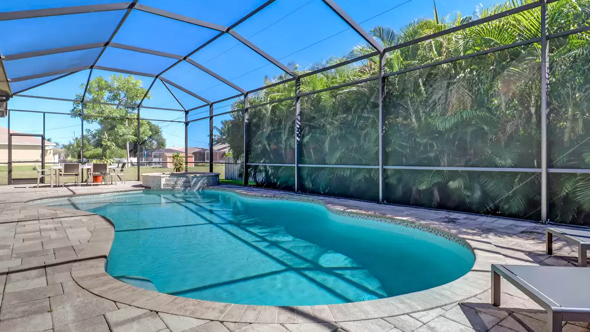 Covered pool with view of the imposing palm trees