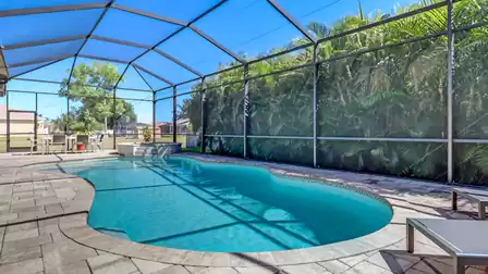 Covered pool with view of the imposing palm trees