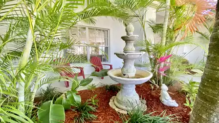 Tropical greenery in the front garden and the gentle splashing of the fountain