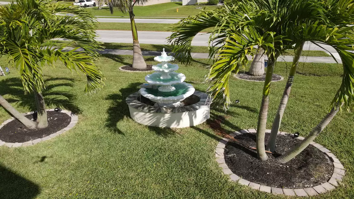 Fountain and nice palm trees in the front yard from Villa Golden Globe