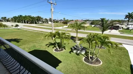 Another view of the front garden with beautiful palm trees