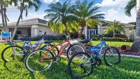 Four bicycles are available for you