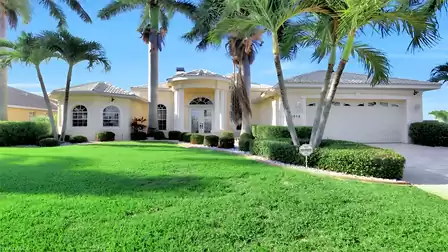 The palm trees sway softly in the wind