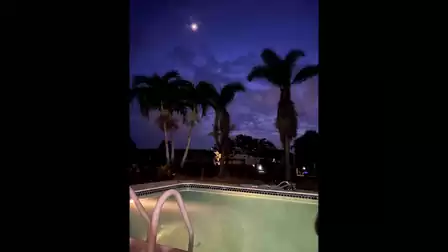 Nightly impressions