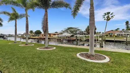 Large palm trees line the canal