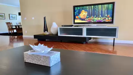 Big screen TV in the living room