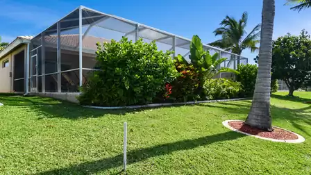 The pool area is already surrounded by vegetation and offers privacy.