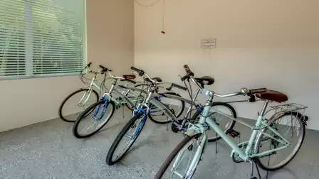 4 Bicycles in the garage - perfect for local excursions.