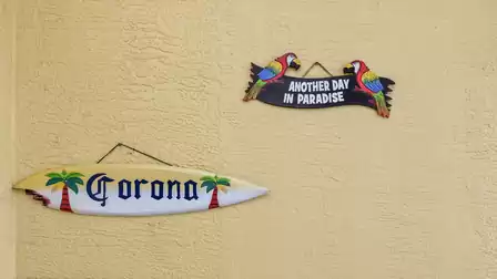 Decorations on the patio wall