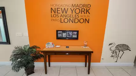 Modern wall design